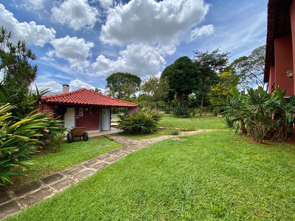 Image Property