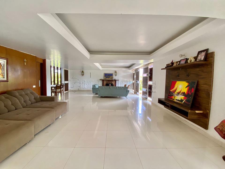 Image Property