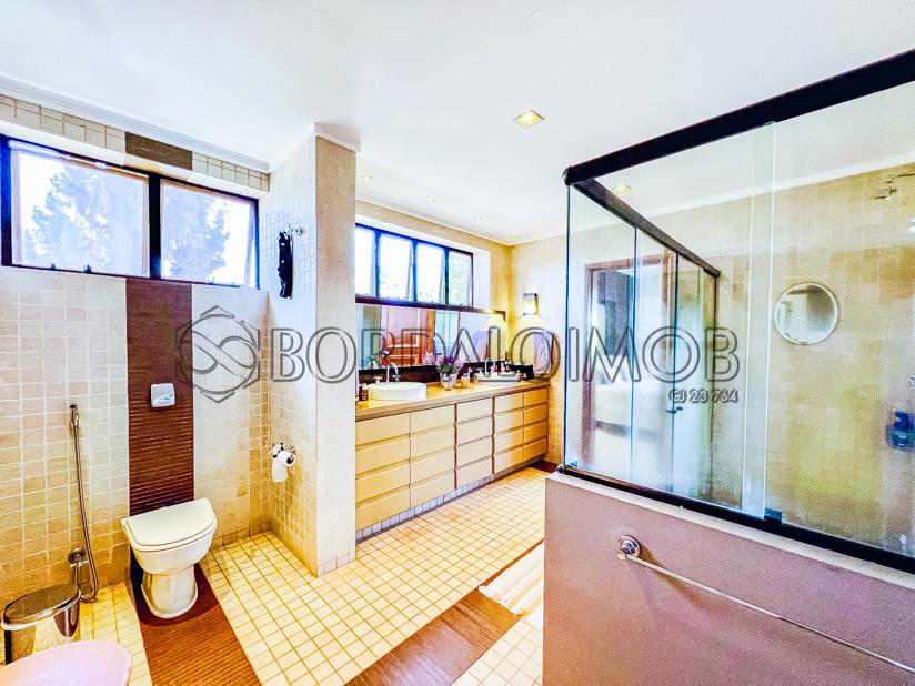 Image Property