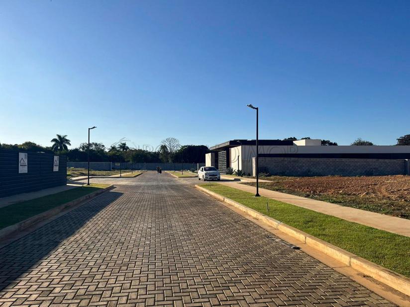 Lote exclusivo na quadra 5 do Park Way - Park Way, Brasília - Foto 2