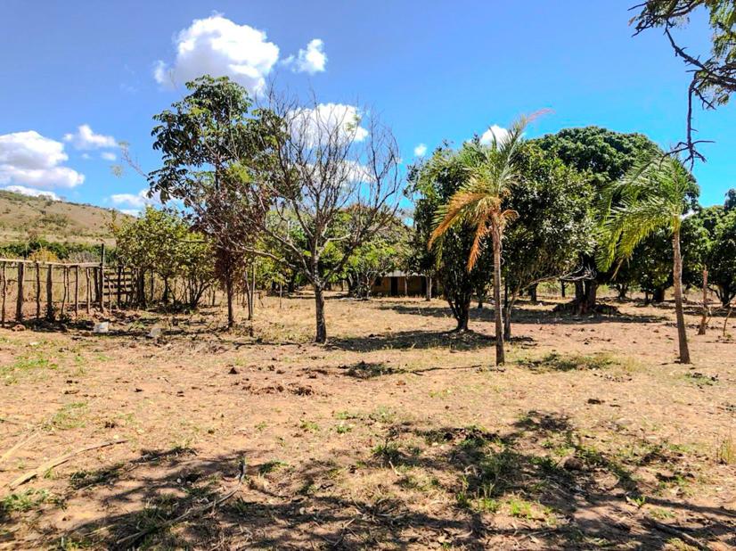 Rural Centro, Fazenda FAZENDA CANA BRAVA - Centro, Flores de Goiás - Foto 11