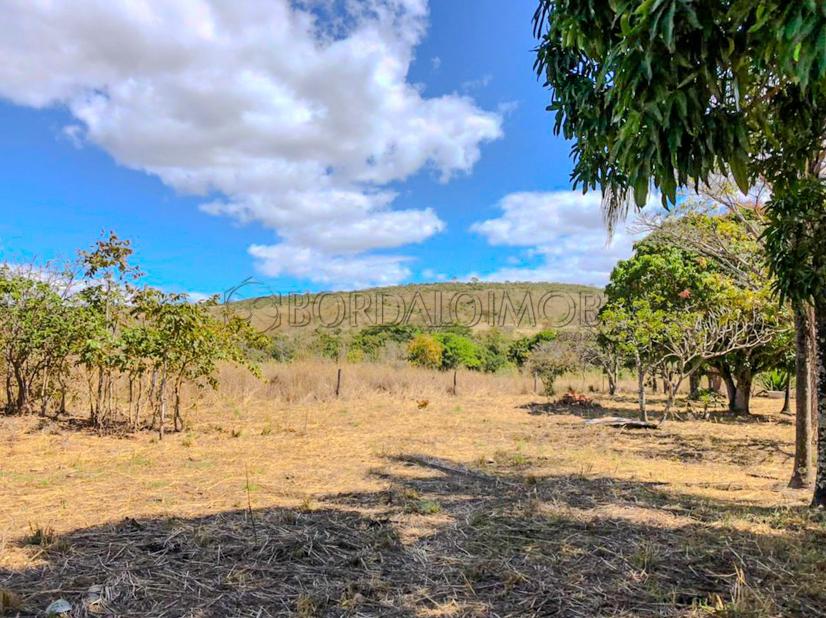 Rural Centro, Fazenda FAZENDA CANA BRAVA - Centro, Flores de Goiás - Foto 1