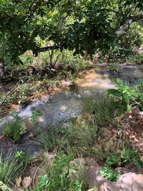 Rural Centro, Fazenda FAZENDA CANA BRAVA - Centro, Flores de Goiás - Foto 19