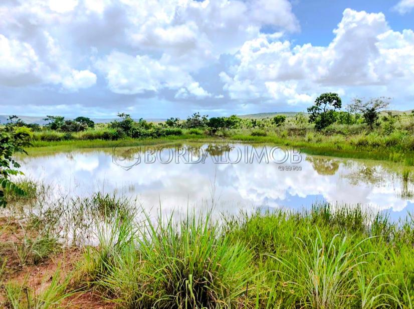 Rural Centro, Fazenda FAZENDA CANA BRAVA - Centro, Flores de Goiás - Foto 4