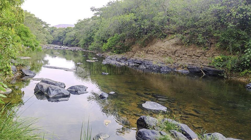 Rural Centro, Fazenda FAZENDA CANA BRAVA - Centro, Flores de Goiás - Foto 17