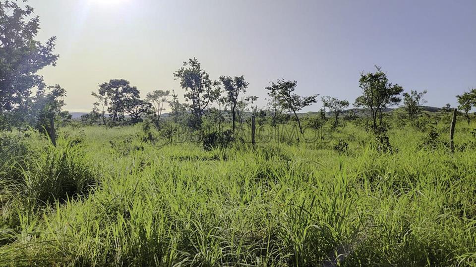 Rural Centro, Fazenda FAZENDA CANA BRAVA - Centro, Flores de Goiás - Foto 9