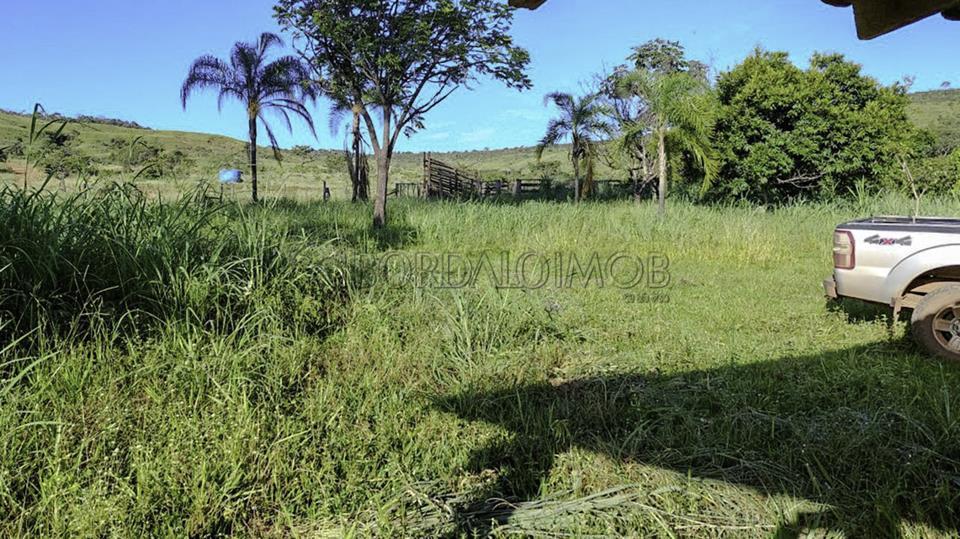 Rural Centro, Fazenda FAZENDA CANA BRAVA - Centro, Flores de Goiás - Foto 23