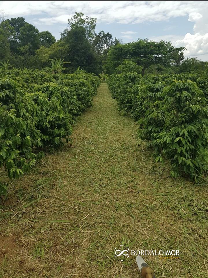 Rural DF- 140, Rodovia Mansões Fazenda DF - 140 - DF- 140, Brasília - Foto 45